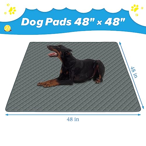 Image of Washable Pee Pads for Dogs 48 inchx48 inch Reusable Puppy Pad Pet Training Pads, Waterproof Mat Non-Slip, Dog Pee Pad Whelping Pads Dog Mat-Playpen,Crate,Sofo,Car,Potty,Bed