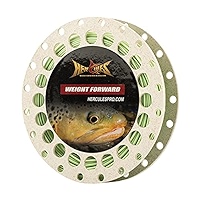 Kit de ligne de pêche à la mouche flottante 3F WF Vert – Ligne de pêche à la mouche 3WT, dos tressé Kit de ligne de pêche à la mouche flottante 3F WF Vert – Ligne de pêche à la mouche 3WT, dos tressé