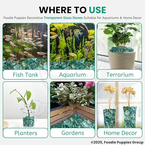 Image of Foodie Puppies Glass Pebbles Stones (Transparent, 900gm) (2cm - 2.5cm) for Decoration of Garden Plants Pots Fish Aquarium Table Small Crystal Clear White Flat Decorative Vase Filler Marbles