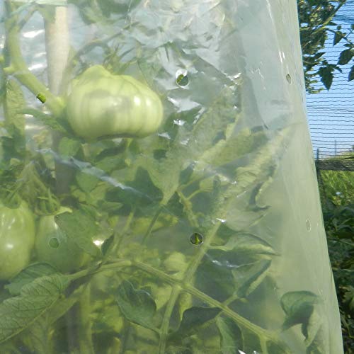 TENAX Tomato Film 0,60x10 m Jaune, Film Tubulaire pour la Culture des Tomates, pour Favoriser et Accélérer la Croissance des Tomates (Contient 10 Liens en Plastique...