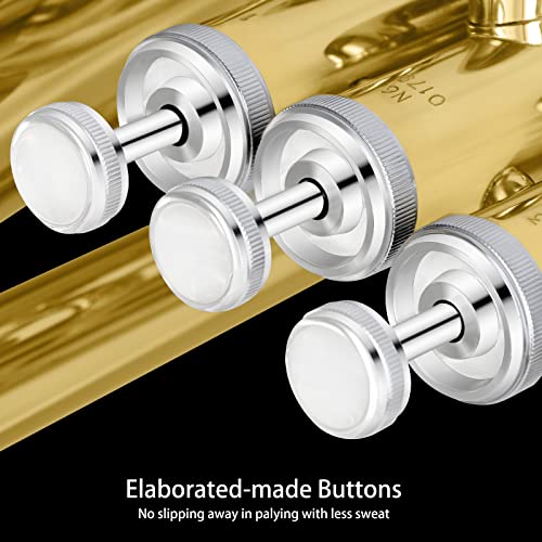 image for ROWELL Euphonium 3 Valves Bb Brass Lacquer Gold 3 Stainless Steel Pist