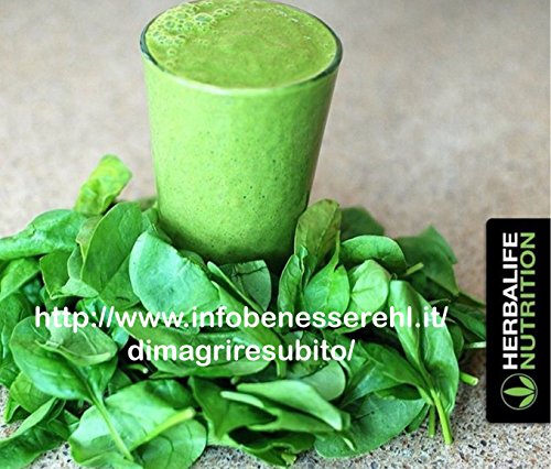 Preisvergleich Produktbild Herbalife F1 Toffee Apple & Cinnamon 550g