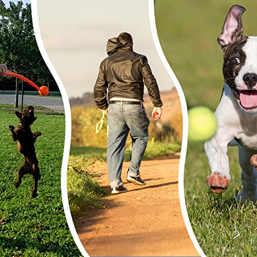 ptlsy-Dog-Ruber-Balls-16-Pack-Pet-Mini-Tennis-Ball-for-Small-Medium-Dogs-Fetching-2-inch