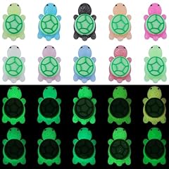 Luminous Little turtle