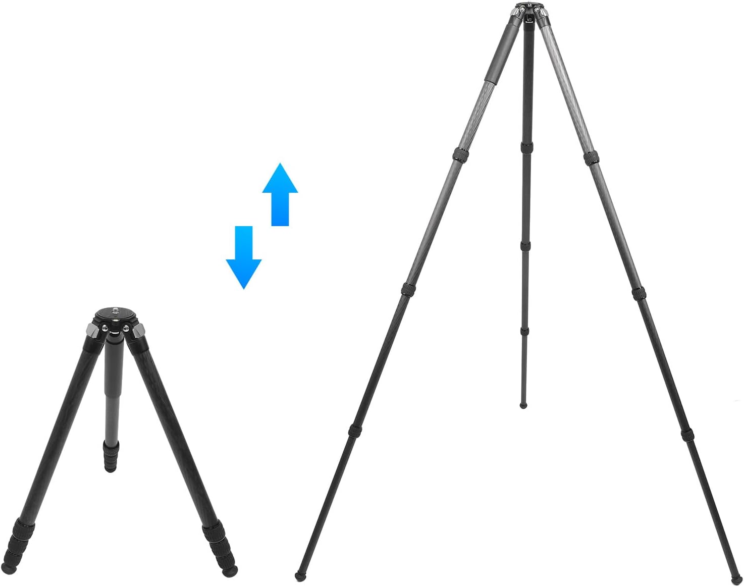 Camera Tripod Professional Carbon Fiber Extendable Stand for Travel Bird Photography Video Recording