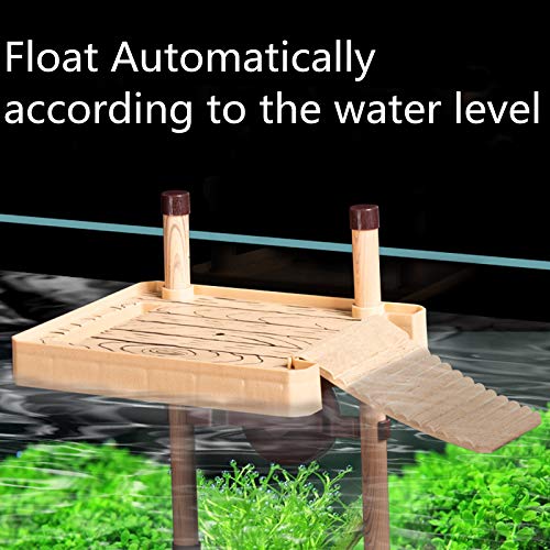 RoseFlower Piattaforma Tartaruga, Isola