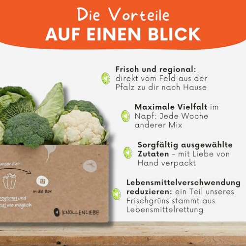 Kohl‑Lover Frischfutter-Box 3 kg – Ausgewognene Kohl‑Mischung für Kaninchen, Meerschweinchen & weitere Heimtiere | Blatt‑ & Kohlsorten liebevoll zusammengestellt | Versand Immer Montag & Dienstag