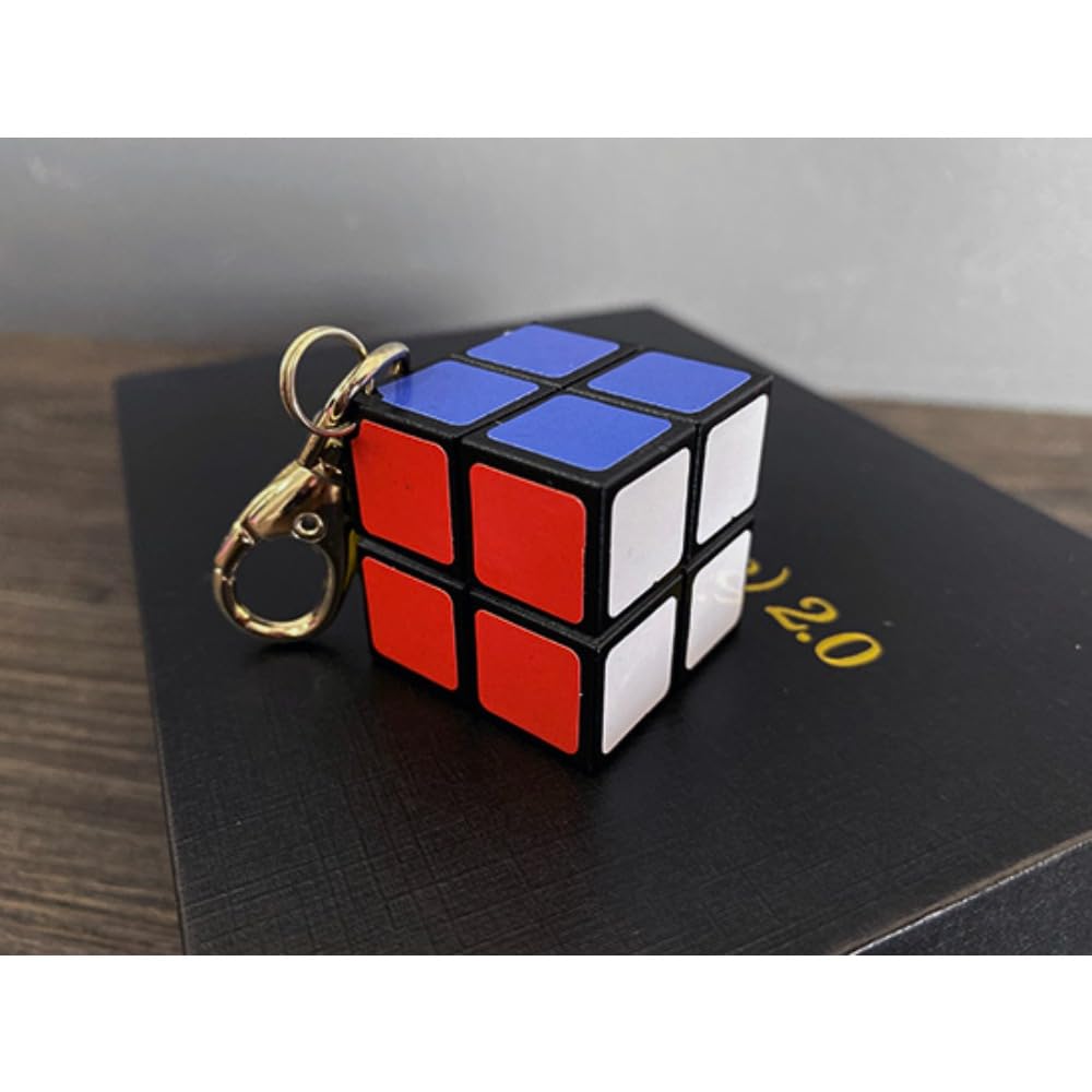 ZQION Dadi Mentali (Cubo) 2.0 Reali Dadi Previsione Esilianti Puntelli Magici Strada Primo Piano Accessori Magici Illusioni Trucchi Magici Mago