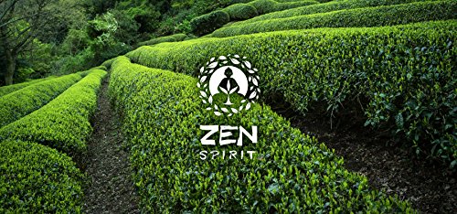 Matcha Green Tea Powder Organic - Japanese Premium Culinary Grade, Unsweetened & Sugar Free - USDA & Vegan Certified - 100g (3.52 oz) - Perfect for Baking, Smoothies, Latte, Iced tea & Weight Loss.