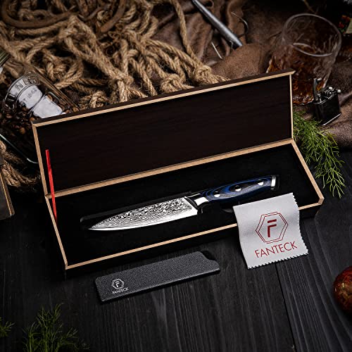 [5-Inch]Utility Paring Knife Fanteck Fruit Knife Damascus Stainless Steel Vg10 Pro Razor Sharp Blade High Carbon 67-Layer Kitchen Cutlery Cutting Chef Fruit Utility Knife Gift Box-Blue G10 Handle #TOP7