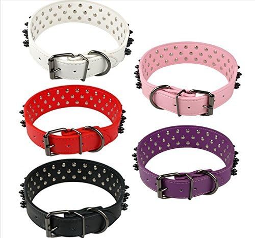 Dogs Kingdom Hundehalsband Aus Leder Mit Nieten & Spikes - 5 Cm Breit, In Größen XS Bis L, Für Pit Bull & Boxer