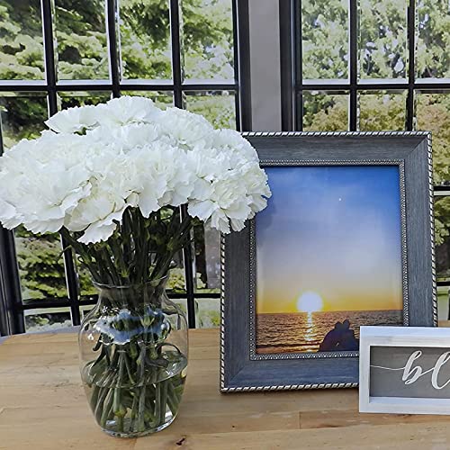 White Carnations By Rumhora Greens | Fresh Cut Flowers | Two Bunches 25 Stems Each #TOP4