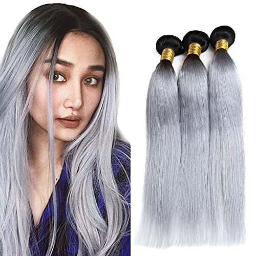 WunnSvm Silver Human Hair Bundle Ombre Straight Bundles Human Hair 1b/Grey 2 Tone Ombre Silver Grey Human Hair Extensions 100% Virgin Remy Real Human Hair Weaving 3 Bundles For Woman(10 12 14)Inch
