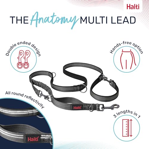 Image of Halti Anatomy Multifunctional Dog Leash | Size Large, Grey | Shock Absorbing Double-Ended Leash, Ideal for Puppy and Dog Walking & Training. Comfortable to Hold, Reflective & Lightweight