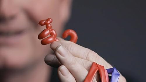 Miniatura 3 de Murphy's Magic Supplies, Inc. Animinimals (trucos e instrucciones en línea) por Billy Damon - Truco