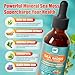 Sea Moss Drops - Irish Sea Moss Chlorophyll Liquid with Black Seed Oil, Ashwagandha, Moringa, Turmeric, Elderberry, Mullein, Seamoss Gel Supplement for Liver Cleaner, Detox & Gut, Immune Support-Vegan