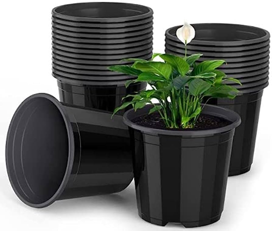 Varshney Gardening 6 Inch Round Black Color Nursery Flower Pots with Draiange Hole, Plant Containers for Seedlings (Pack of 10) (B0CPCJLTT6) Amazon Price History, Amazon Price Tracker