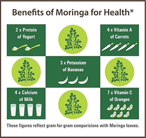 Naturevibe Botanicals Moringa Green Leaf Powder 2 Pound, Raw, 32 Ounces (Pack of 2) | Multi-Vitamin | Great in Drinks and Smoothies | 2lbs [Packaging May Vary]……