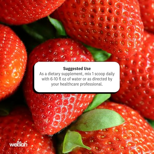 Image of Wellah Creatine + Electrolytes Powder (Strawberry Lemonade) 30 Servings - Hydration Drink Mix with 3g of Creatine Monohydrate