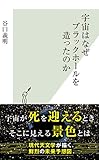 宇宙はなぜブラックホールを造ったのか (光文社新書) 宇宙はなぜブラックホールを造ったのか (光文社新書)