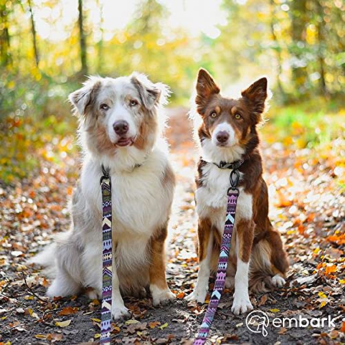 Embark Urban Dog Collar – Stylish & Durable Nylon Dog Collars for Medium Dogs, Small & Large. Soft, Cool & Cute Western… - Image 4