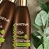 KATIVA Macadamia Hydrating Conditioner, 8.45 Fl Oz - Moisturizes and Strengthens Dry Hair with Organic Macadamia Oil, Sulfate Free, Gluten Free, Paraben Free