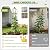 Garden Obelisk Trellis for Climbing Plants Outdoor, 6.2 FT Tomato Cage, Rose, Flowers, Grape, Pea, Cucumber Trellis, Rustproof Plastic Coated Metal Plant Support Trellis for Potted Plants (2 Pack)