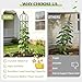 Garden Obelisk Trellis for Climbing Plants Outdoor, 6.2 FT Tomato Cage, Rose, Flowers, Grape, Pea, Cucumber Trellis, Rustproof Plastic Coated Metal Plant Support Trellis for Potted Plants (2 Pack)