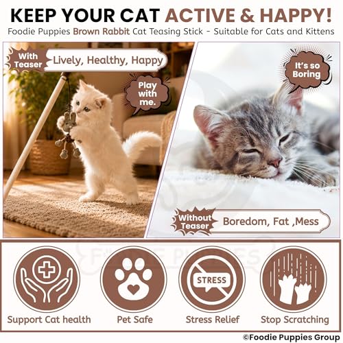 Image of Foodie Puppies Interactive Wooden Teaser Stick with Funny Animal Attachments - (Brown Rabbit) | Suitable for Cats and Kittens | Indoor and Outdoor, Play & Exercise (Size: 40cm)