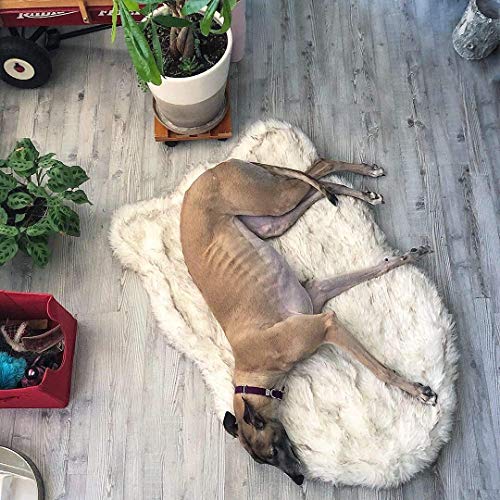 Puprug Orthopedic Dog Bed, Premium Memory Foam Base, Ultra-Soft Faux Fur Cover, Modern and Attractive Design (Large… - Image 5