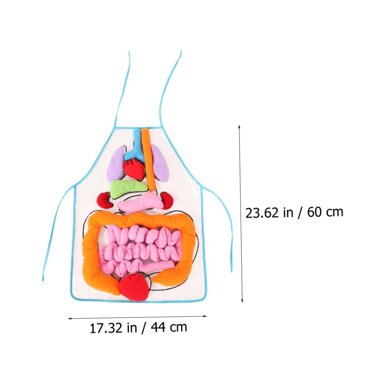 Toyvian Delantal Infantil 3D para Enseñanza de Anatomía Órganos del Cuerpo Humano, Material Didáctico de Plástico y Algodón PP para Educación Preescolar y Jardín de Infancia