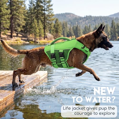 ASENKU Schwimmweste Hund Groß XXL,Verstellbar & Ripstop Hundeschwimmweste,Rettungsweste für Hunde mit Griff und Reflektierend, Hunde Schwimmweste für Chihuahua,Dackel,Französische Bulldogge, Labrador