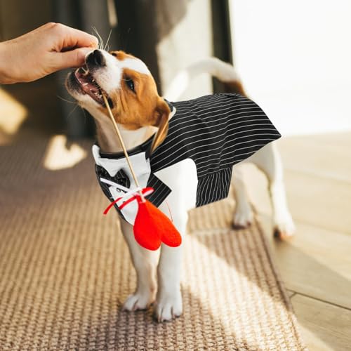 Disfraz de perro Tuxedo XXL con bufanda resistente miniatura 6