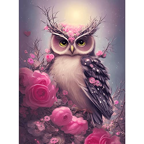 Starnearby DIY Diamond Painting Tier Kits Diamant Painting Bilder Crystal Art fur Malen Nach Zahlen Erwachsene für Kinder Geschenke,Home Decor 30*40 CM(Eule B) Cover