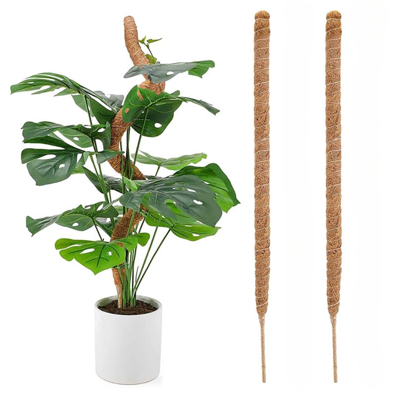 Amazon | 2本入り ココスティック 園芸支柱 自由に曲げる 観葉植物