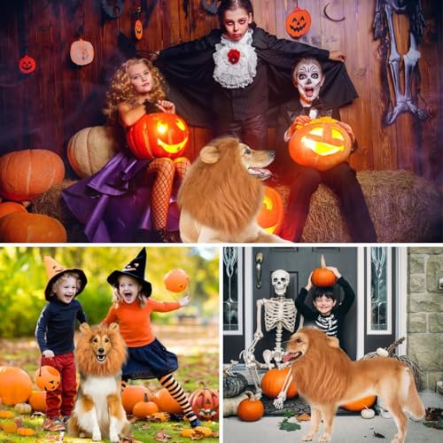 VIDSTW Lions Mane mit Realistische Ohren für Hundekostüm Löwenmähne Perücke Hundekostüm Einstellbar Halloween Löwenmähne Hund Kostüm Hund Tierverkleidung für Mittlere und Große Hunde (Rotbraun)