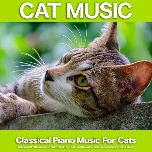 Play Cat Music Classical Piano Music For Cats, Relaxing Bird Sounds