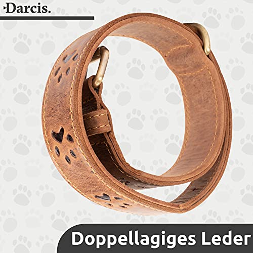 Darcis Hundehalsband Braun - Extrem Robustes Lederhalsband aus hochwertigem Rindsleder - Ideal für Starke Hunde - Halsband Hund - Hundehalsband Leder - Lederhalsband Hund - 55-62,5 cm Halsumfang
