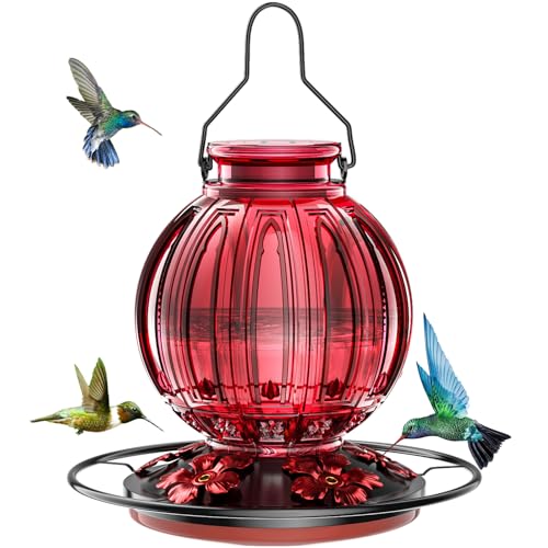 Glass Hummingbird Feeder for Outdoors...