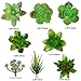 Lasimonne 16 Pcs Mini Artificial Succulent Flocking Plants Unpotted Faux Succulent Picks Fake Plants for Decoration