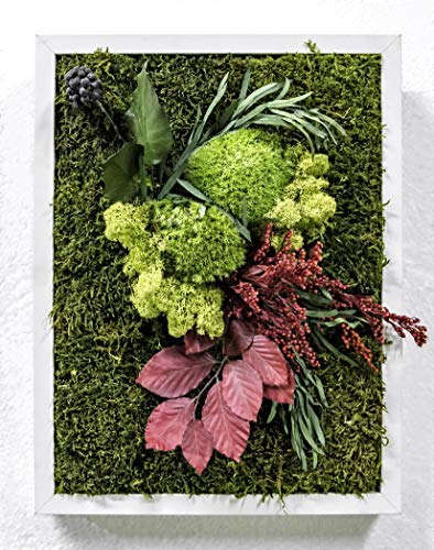 Mi Jardín Vertical Musgo Preservado Cuadro Vegetal 30 x 40 cm (Trastevere)