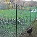 HaGa Gartenzaun aus Kunststoff - 1,2m Höhe | 1m Länge (Meterware) | schwarz | 30mm Masche - Stabiler Kunststoffzaun für Garten - Verwendung als Hundezaun, Hühnerzaun, Rankgitter, Kompostbegrenzung