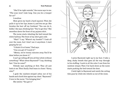 Meena Meets Her Match (The Meena Zee Books)