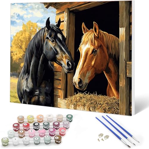 Auremi Cheval Peinture par numéros 20x30 avec cadre–Animaux Peinture par numéros adulte facile–Kit cadeau créatif pour–Tableau DIY détente à peindre