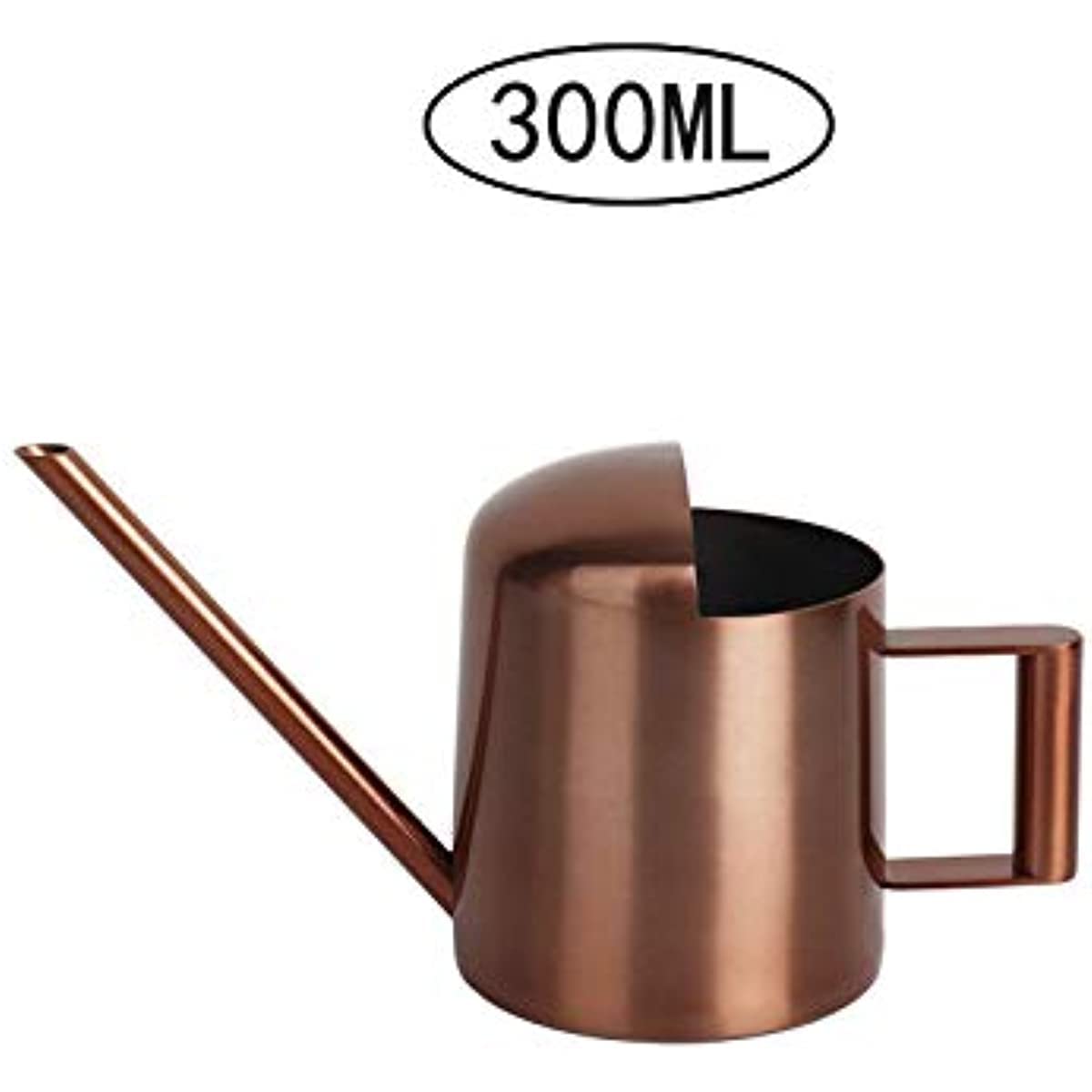 Annaffiatoio Mini In Acciaio Inox YISSN - Capacità 300 Ml Beccuccio Lungo Per 989852