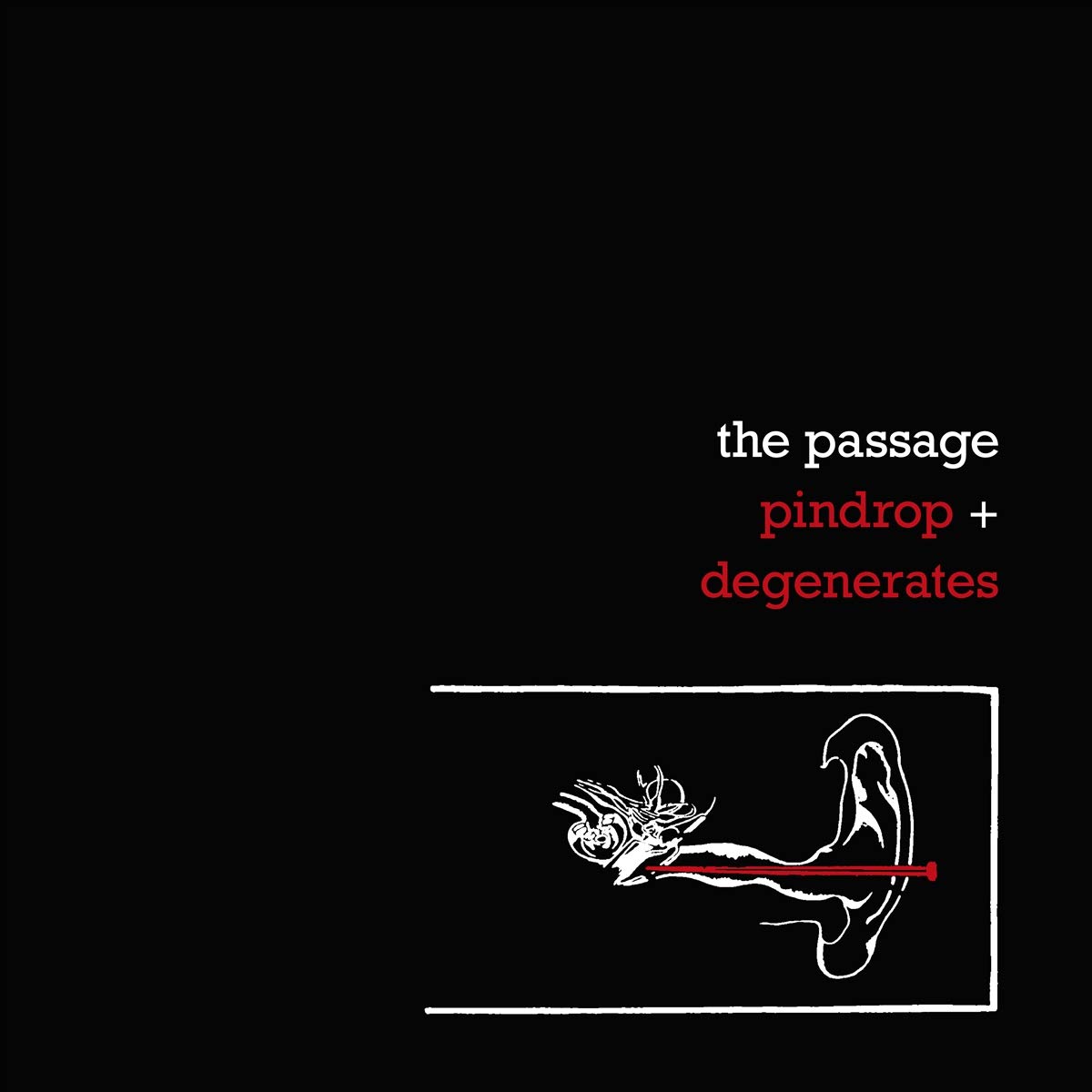 Passage Pindrop   Degenerates Double CD NEW