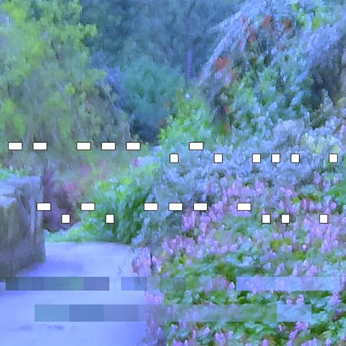 .. . .. .. . Monumentous Digital Music