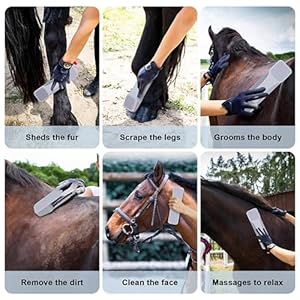 Strip hair gentle grooming tool for horses dogs and cats  horse shedding grooming deshedding tool  equine grooming shedding tools  gentle pet bathing supplies a gray 1pcs   cucciolini doodles