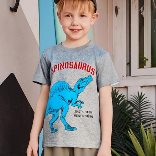 Image of DEEKEY Toddler Boys Shirts Short-Sleeve Little Kids t Shirts Boys' Tops, Tees & Shirts Graphic TEE Age for 2-7 Years 4-Pack