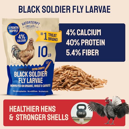 Image of Hatortempt 10lb Black Soldier Fly Larvae for Chickens, Feed for Laying Hens (Pack of 2)